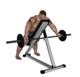 Reverse Row - Incline Barbell Wide